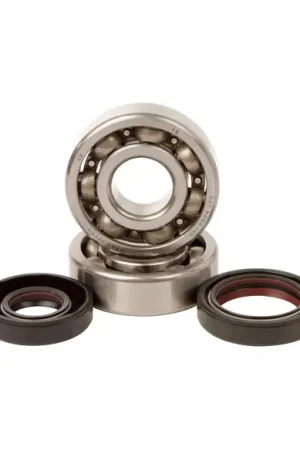 KIT RODAMIENTOS Y RETENES DE CIGUEÑAL HOT RODS KAWASAKI KX 125 88-05 Mayoreo