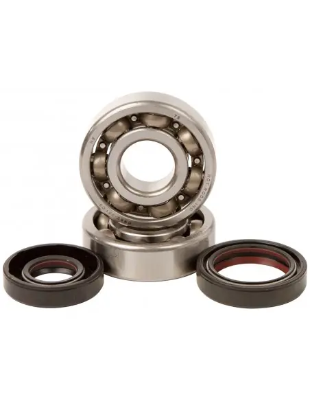 KIT RODAMIENTOS Y RETENES DE CIGUEÑAL HOT RODS KAWASAKI KX 125 88-05 Mayoreo